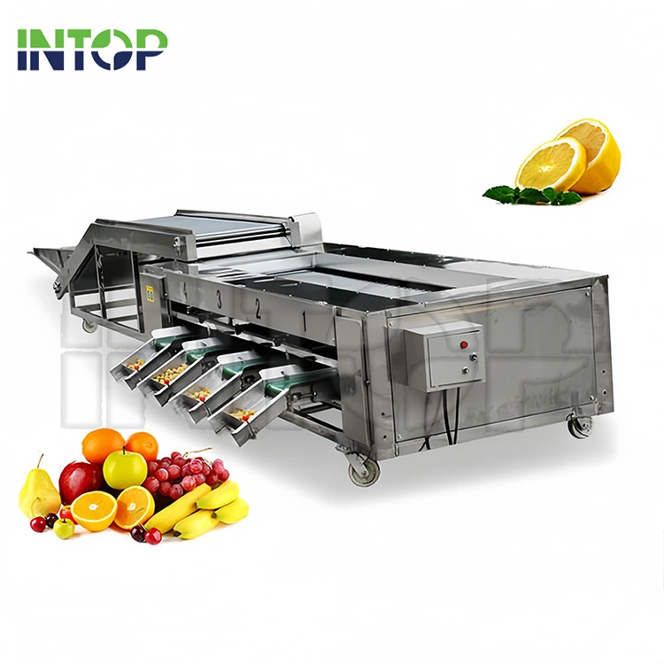 Mesin Sortasi Buah dan Sayur