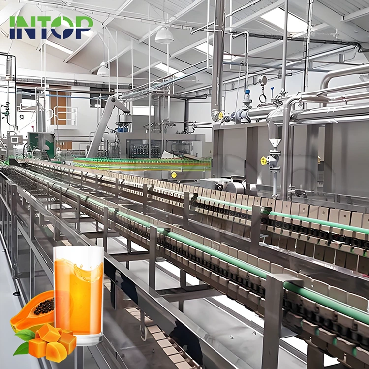 Lini Produksi Jus Pepaya