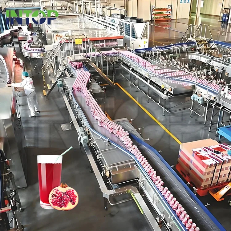 Lini Produksi Jus Delima